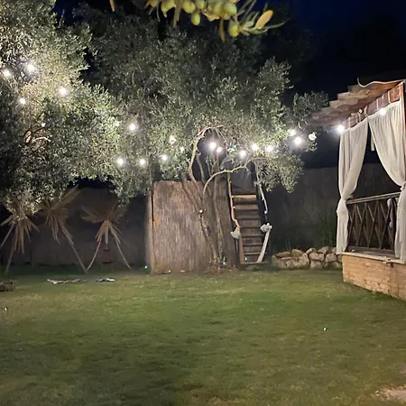 فيلة Mabel فتحية