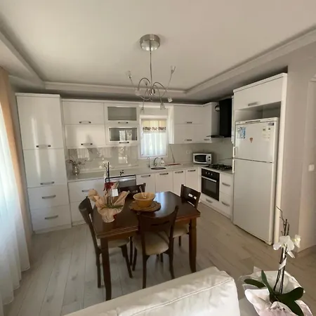 فيلة Mabel فتحية